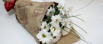 Bouquet of chrysanthemums