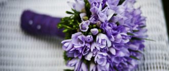 букет из фиолетовых цветов