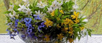 Для весенних цветов подойдут воздушные вазы