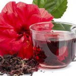 hibiscus red