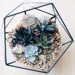 how to make a florarium with your own hands