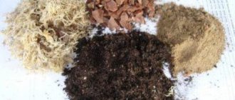 How to improve purchased soil?