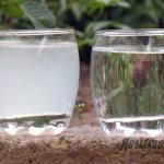 вода для полива кактусов