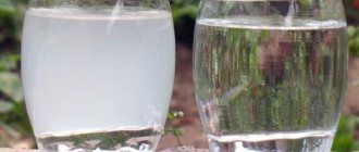вода для полива кактусов